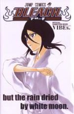 Bleach - Official Animation Book - VIBEs