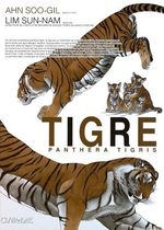 Tigre - Panthera Tigris
