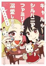 Fans des Sylvanian Families