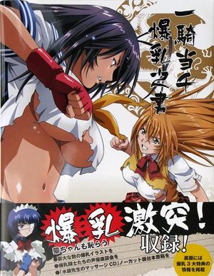 couverture, jaquette ikkitousen book of big breasts