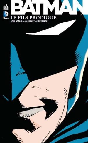 Batman - Le Fils prodigue Comics