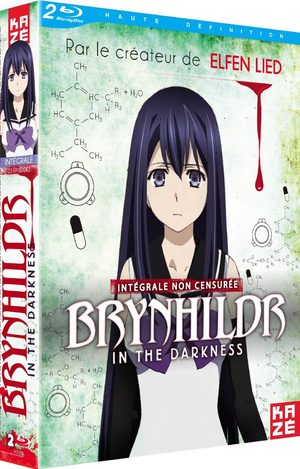 Brynhildr in the Darkness Série TV animée