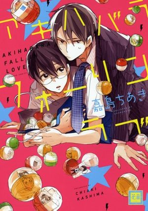 couverture, jaquette Akihabara fall in love