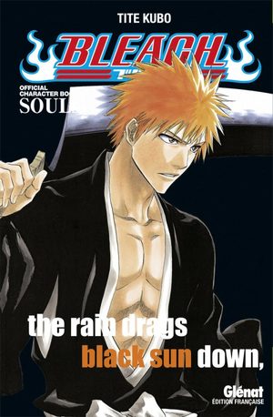 Bleach Official Character Book Guide