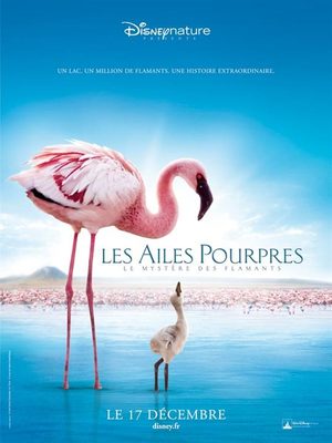 Les Ailes pourpres : le mystère des flamants
