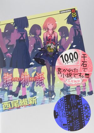Nademonogatari Light novel
