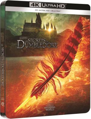 Les secrets de Dumbledore