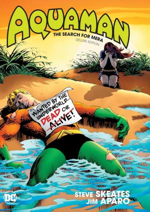 Aquaman - The Search For Mera