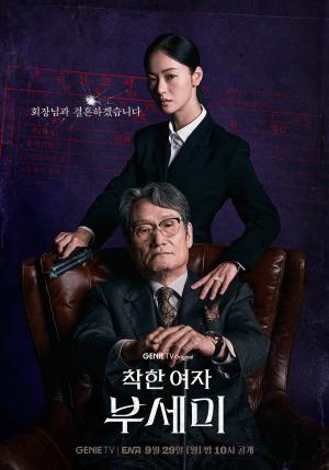 Ms. Incognito (drama)