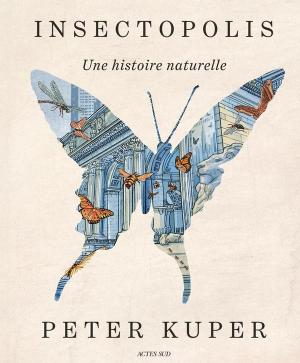 Insectopolis