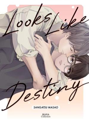 Looks like destiny Manga
