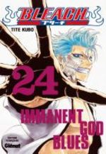 Bleach 24 Manga