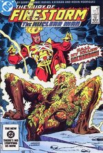 The Fury of Firestorm, The Nuclear Men # 19