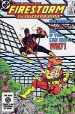 The Fury of Firestorm, The Nuclear Men # 28