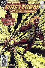 The Fury of Firestorm, The Nuclear Men 33