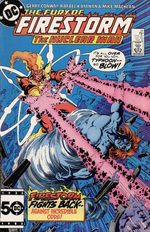 The Fury of Firestorm, The Nuclear Men 44