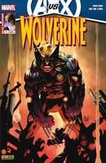 Wolverine 6