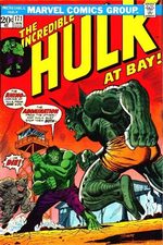 The Incredible Hulk 171