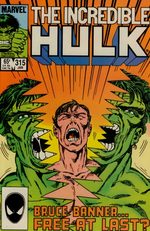 The Incredible Hulk 315
