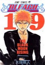 Bleach 19 Manga