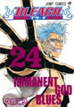 Bleach 24 Manga