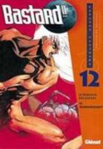 Bastard !! 12 Manga