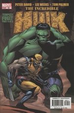 The Incredible Hulk 80