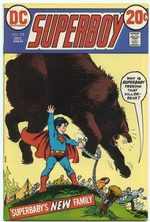 Superboy 192
