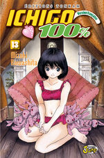 Ichigo 100% 13 Manga