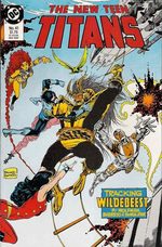 The New Teen Titans 41