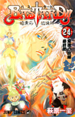 Bastard !! 24 Manga