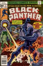 couverture, jaquette Black Panther Issues V1 (1977 - 1979) 2