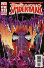 The Sensational Spider-Man # 25