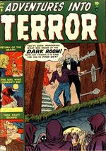 Adventures into Terror # 6