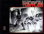 couverture, jaquette Les Tortues Ninja Issues V1 (1984 - 1993) 17