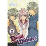 couverture, jaquette The Devil Within USA 2