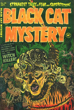 Black Cat Comics 39