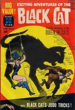 Black Cat Comics 65