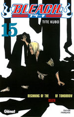 Bleach 15 Manga
