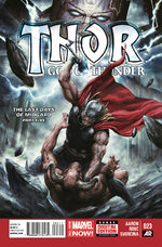 Thor - God of Thunder # 23