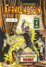 Frankenstein # 15