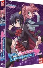Love, Chunibyo, and Other Delusions! 2 1 Série TV animée