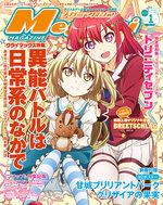 couverture, jaquette Megami magazine 176