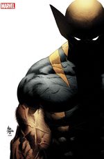 couverture, jaquette Wolverine Kiosque V4 (2013 - 2015) 20