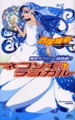 Zaregoto series 9 Light novel