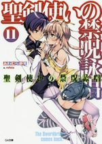 Seiken Tsukai no World Break 11 Light novel