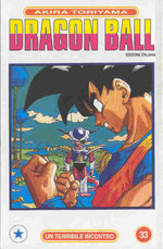 Dragon Ball 33