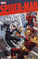 Spider-man et les héros Marvel 4