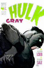 couverture, jaquette Hulk - Gris Issues 4