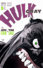 couverture, jaquette Hulk - Gris Issues 5